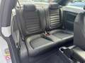 Volkswagen Beetle 2.0 TSI DSG Sport Leder Navi RNS-510 R19 Weiß - thumbnail 14