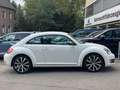 Volkswagen Beetle 2.0 TSI DSG Sport Leder Navi RNS-510 R19 Weiß - thumbnail 8