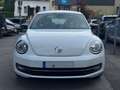 Volkswagen Beetle 2.0 TSI DSG Sport Leder Navi RNS-510 R19 Weiß - thumbnail 3