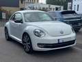 Volkswagen Beetle 2.0 TSI DSG Sport Leder Navi RNS-510 R19 Weiß - thumbnail 1