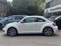 Volkswagen Beetle 2.0 TSI DSG Sport Leder Navi RNS-510 R19 Weiß - thumbnail 5
