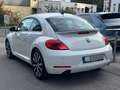 Volkswagen Beetle 2.0 TSI DSG Sport Leder Navi RNS-510 R19 Weiß - thumbnail 6