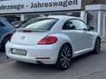 Volkswagen Beetle 2.0 TSI DSG Sport Leder Navi RNS-510 R19 Weiß - thumbnail 7