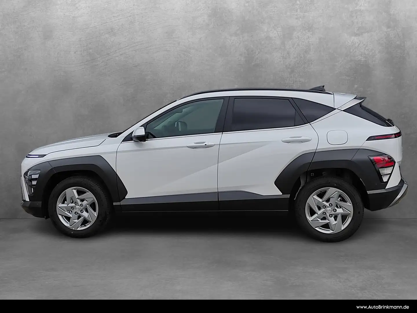 Hyundai KONA Kona 1.0 T-GDI Trend 2WD SHZ/Kamera/Assistenz HiFi Wit - 2