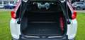 Honda CR-V 1,5 VTEC Turbo Executive CVT Aut. Blanc - thumbnail 16