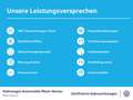 Volkswagen Golf VIII 1.5 TSI Life Navi PDC LED uvm Wit - thumbnail 10