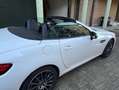 Mercedes-Benz SLC 180 SLC - R172 2016 AMG Line Bianco - thumbnail 2