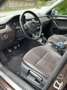 Skoda Octavia Octavia Combi 2,0 TDI 4x4 Scout Scout Braun - thumbnail 13