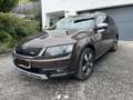 Skoda Octavia Octavia Combi 2,0 TDI 4x4 Scout Scout Braun - thumbnail 2