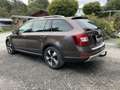 Skoda Octavia Octavia Combi 2,0 TDI 4x4 Scout Scout Braun - thumbnail 3