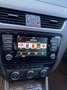 Skoda Octavia Octavia Combi 2,0 TDI 4x4 Scout Scout Braun - thumbnail 19