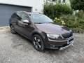 Skoda Octavia Octavia Combi 2,0 TDI 4x4 Scout Scout Braun - thumbnail 1