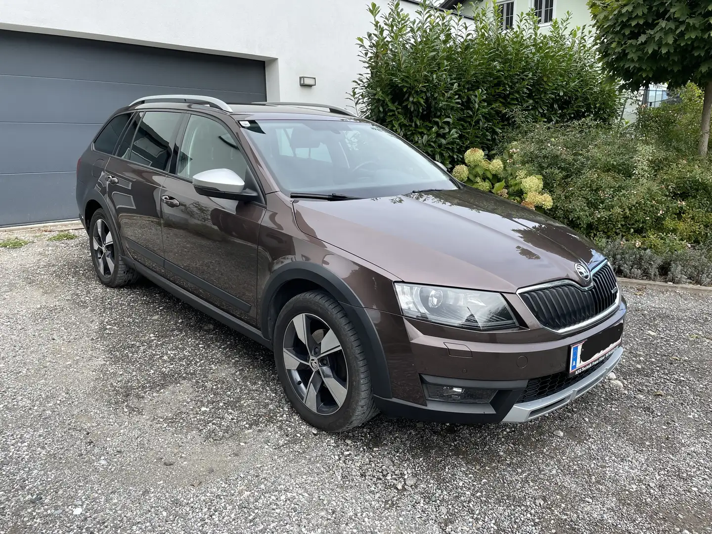 Skoda Octavia Octavia Combi 2,0 TDI 4x4 Scout Scout Braun - 1