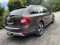 Skoda Octavia Octavia Combi 2,0 TDI 4x4 Scout Scout Braun - thumbnail 4