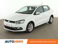 Volkswagen Polo 1.4 TDI BlueMotion Tech Confortline Blanc - thumbnail 1