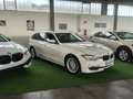BMW 316 Serie 3 F31 2012 Touring 316d Touring Luxury Weiß - thumbnail 5