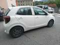 Kia Picanto 1.0 12V Urban KM.ZERO - PRONTA CONSEGNA Bianco - thumbnail 4