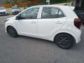 Kia Picanto 1.0 12V Urban KM.ZERO - PRONTA CONSEGNA Bianco - thumbnail 5