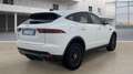 Jaguar E-Pace 2.0d i4 mhev R-Dynamic HSE awd 163cv auto Bianco - thumbnail 2