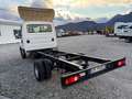 Iveco Daily 35C16 TELAIO Blanco - thumbnail 4