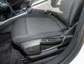 BMW 116 d Advantage Navi LED AHK DAB SHZ Weiß - thumbnail 18