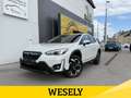Subaru XV STYLE NOW 4WD AUT 2.0 Weiß - thumbnail 1