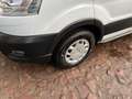 Ford Transit Kasten 350 L3H3 Trend Hoch Weiß - thumbnail 15