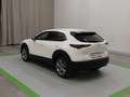 Mazda CX-30 SKYACTIV-G 2.0 M Hybrid 6GS SELECTION Weiß - thumbnail 5