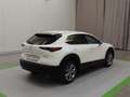Mazda CX-30 SKYACTIV-G 2.0 M Hybrid 6GS SELECTION Weiß - thumbnail 4