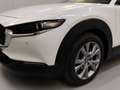 Mazda CX-30 SKYACTIV-G 2.0 M Hybrid 6GS SELECTION Weiß - thumbnail 17