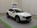 Mazda CX-30 SKYACTIV-G 2.0 M Hybrid 6GS SELECTION Weiß - thumbnail 1
