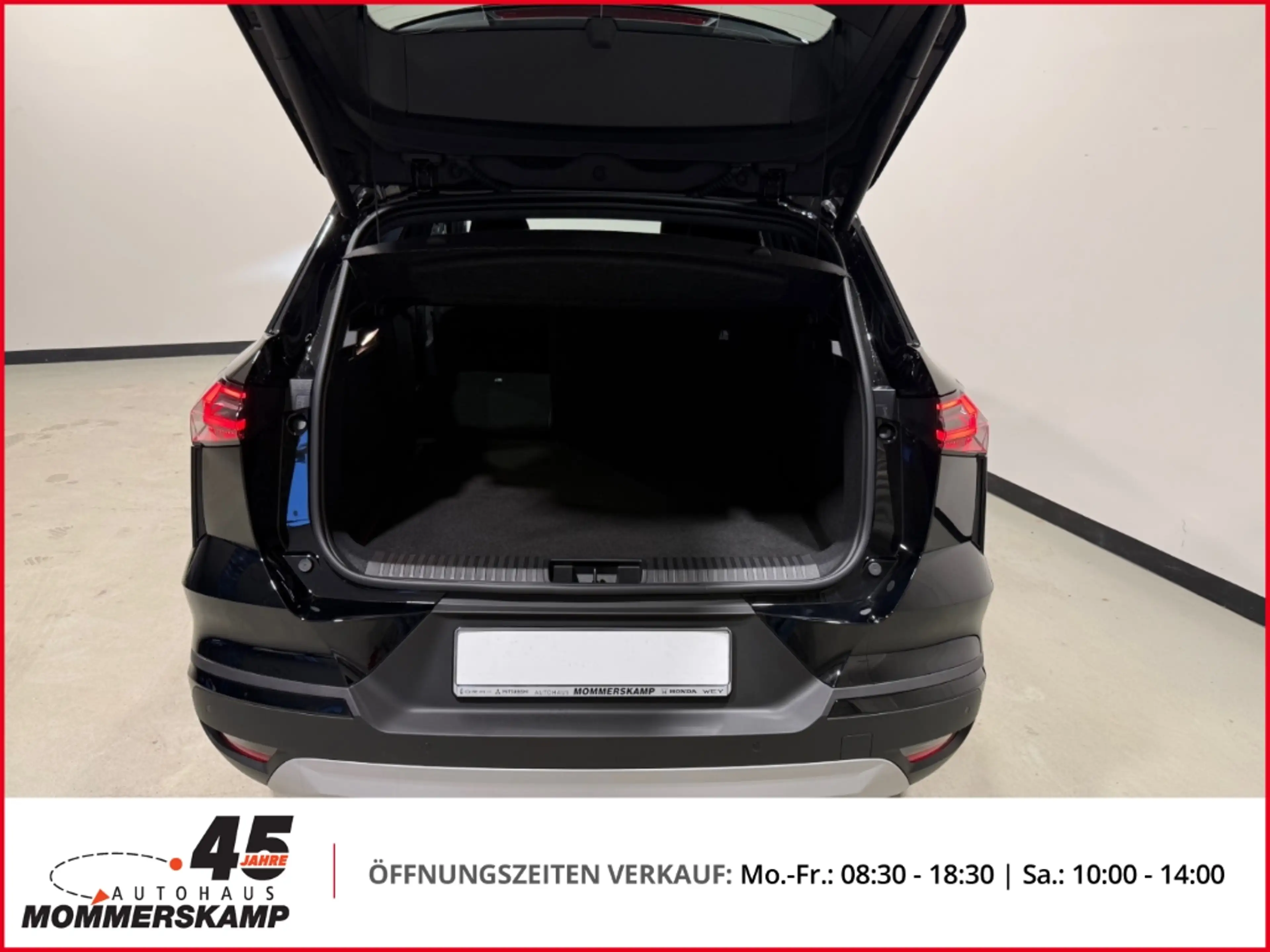 Mitsubishi Grandis 1,3 Intro Edition Automatik+Klima+360grad Kamera+P — photo 12
