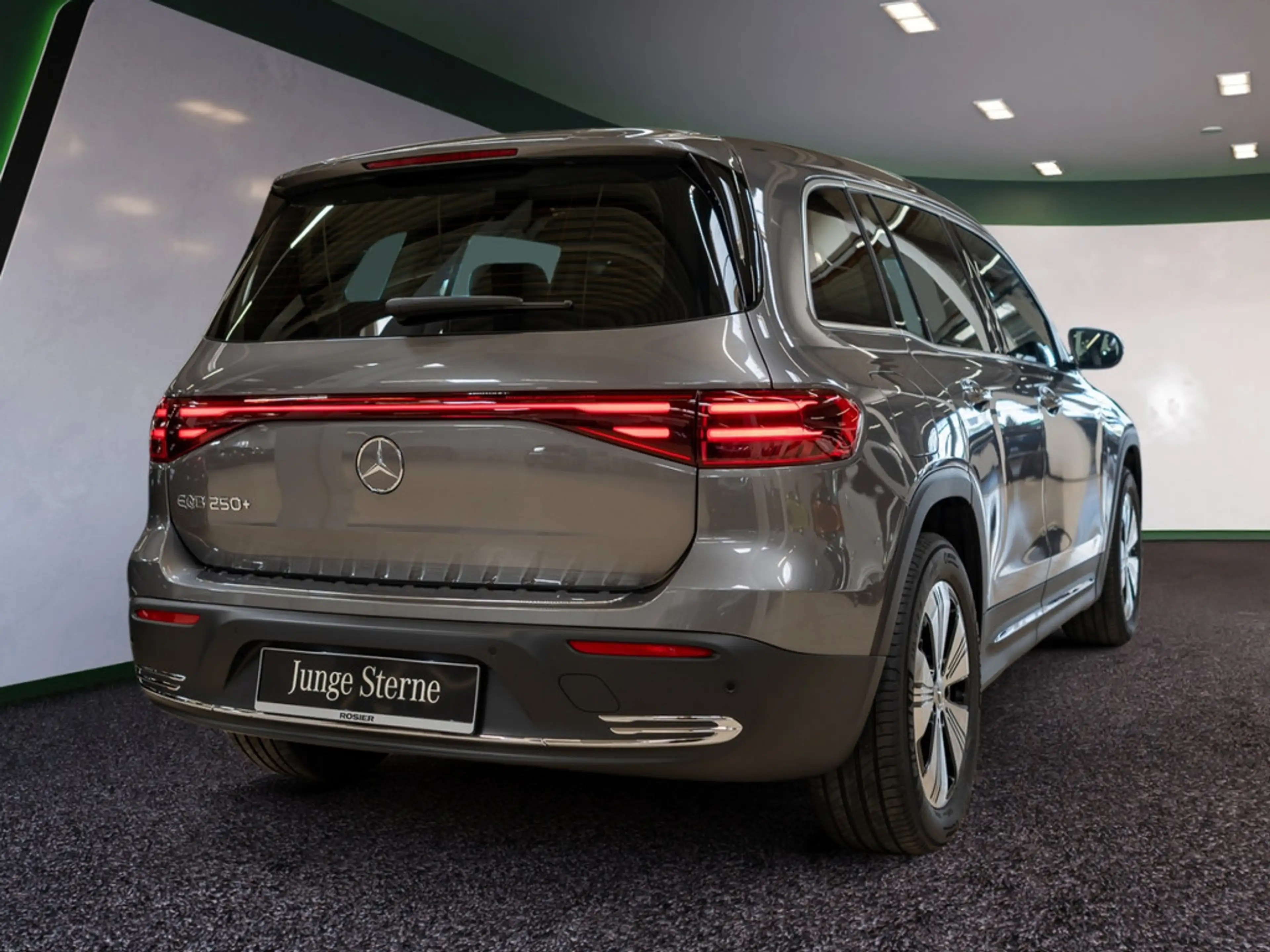 Mercedes-Benz EQB 250 + Progressive Advanced LED NAVI KAMERA — photo 9
