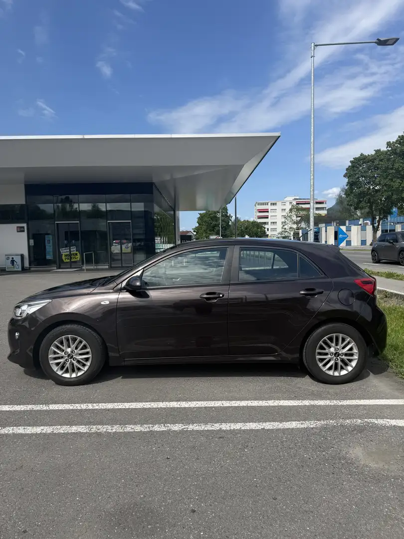 Kia Rio Attract Braun - 2