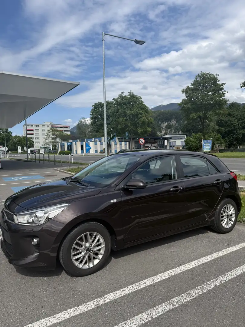 Kia Rio Attract Braun - 1