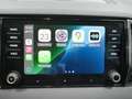 Skoda Karoq 2.0TDI AdBlue Ambition 4x4 DSG 110kW Gris - thumbnail 24