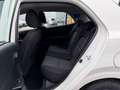Kia Picanto PICANTO 1.0 5-GANG EDITION 7 NAVIGATION Weiß - thumbnail 20