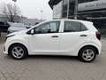 Kia Picanto PICANTO 1.0 5-GANG EDITION 7 NAVIGATION Weiß - thumbnail 9