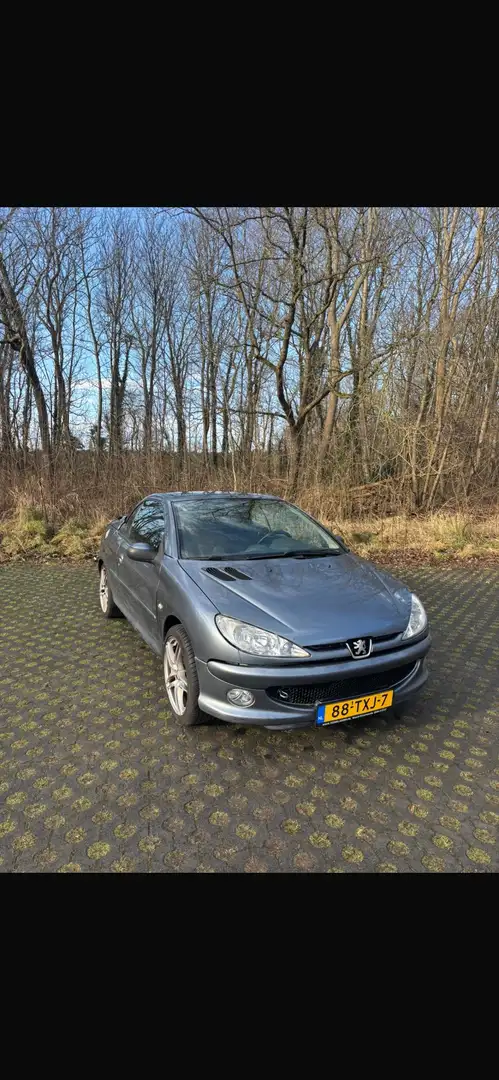 Peugeot 206 1.6-16V Grijs - 1