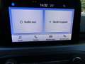 Ford Focus ST-Line Style Grau - thumbnail 9