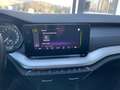 Skoda Octavia Clever 2,0 TDI DSG *AHV*RFK*APP*LED*NAVI*SITZHZ* Grau - thumbnail 18