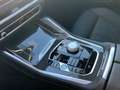 BMW X6 xDrive30d M Sportpaket Gestiksteuerung DAB Blanc - thumbnail 13