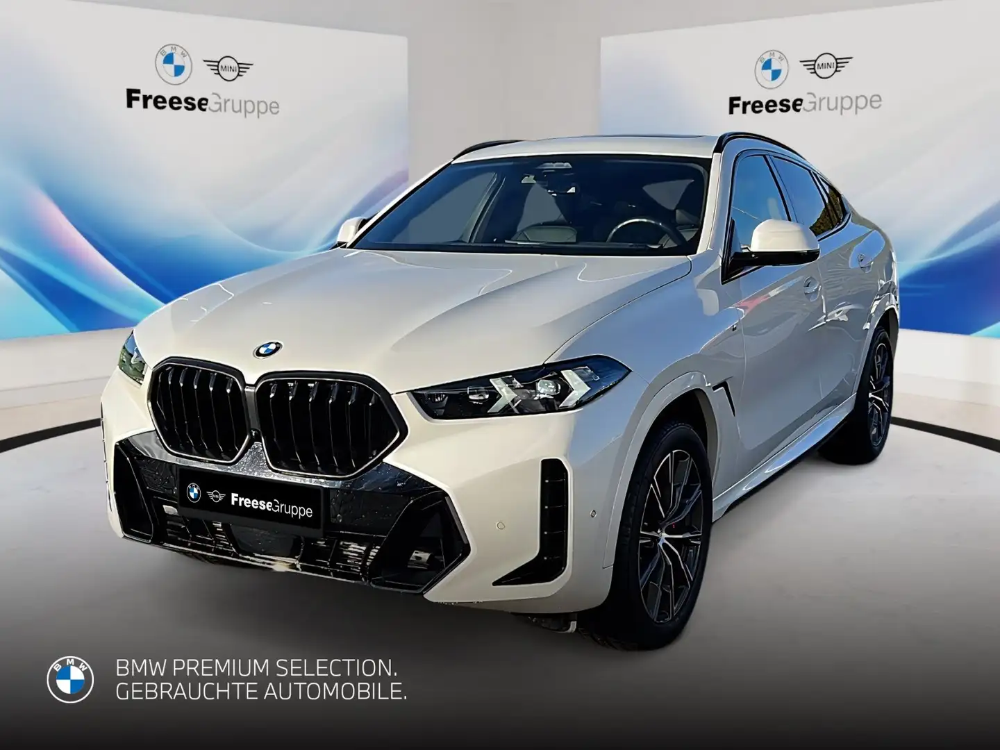 BMW X6 xDrive30d M Sportpaket Gestiksteuerung DAB Blanc - 1