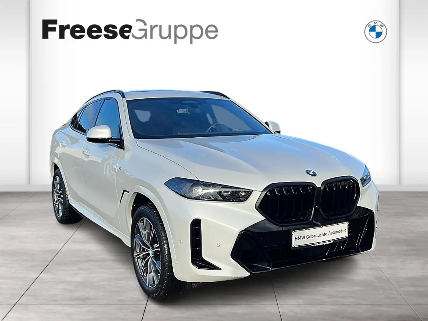 BMW X6 xDrive30d M Sportpaket Gestiksteuerung DAB Weiß - 1