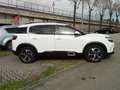 Citroen C5 Aircross BlueHDi 130 S&S Business Wit - thumbnail 5