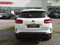 Citroen C5 Aircross BlueHDi 130 S&S Business Wit - thumbnail 7