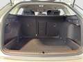 Skoda Octavia Combi 1.5 TSI mHEV DSG Selection Grau - thumbnail 19