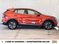 Kia Sportage 1.6 tgdi mhev business dct Rosso - thumbnail 6