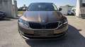 Skoda Octavia 1,0 TSI Style, Navi, Kamera Braun - thumbnail 4