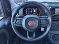 Fiat Panda 1.0 FireFly S&S Hybrid Icon Nero - thumbnail 11